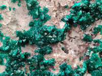 Natural Dioptase Cabinet Specimen x 1 From Congo - Toprock Gemstones and Minerals