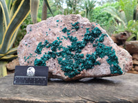 Natural Dioptase Cabinet Specimen x 1 From Congo - Toprock Gemstones and Minerals