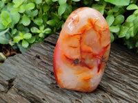 Polished Carnelian Standing Free Forms x 3 From Madagascar - Toprock Gemstones and Minerals