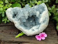 Natural Celestite Geode Specimen x 1 From Sakoany, Madagascar - Toprock Gemstones and Minerals
