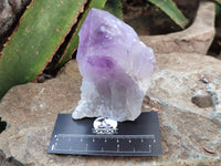 Natural Jacaranda Amethyst Quartz Crystals x 6 from Mumbwa, Zambia - Toprock Gemstones and Minerals