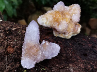 Natural Ametrine Spirit Quartz Clusters x 12 From Boekenhouthoek, South Africa - Toprock Gemstones and Minerals
