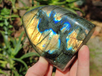 Polished Labradorite Standing Free Forms x 3 From Tulear, Madagascar - Toprock Gemstones and Minerals