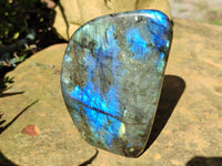 Polished Labradorite Standing Free Forms x 3 From Tulear, Madagascar - Toprock Gemstones and Minerals