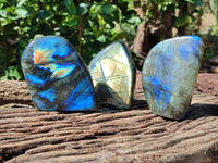 Polished Labradorite Standing Free Forms x 3 From Tulear, Madagascar - Toprock Gemstones and Minerals