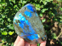 Polished Labradorite Standing Free Forms x 3 From Tulear, Madagascar - Toprock Gemstones and Minerals