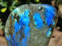 Polished Labradorite Standing Free Forms x 3 From Tulear, Madagascar - Toprock Gemstones and Minerals