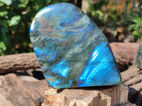 Polished Labradorite Standing Free Forms x 3 From Tulear, Madagascar - Toprock Gemstones and Minerals