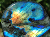 Polished Labradorite Standing Free Forms x 3 From Tulear, Madagascar - Toprock Gemstones and Minerals