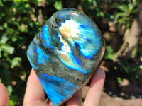 Polished Labradorite Standing Free Forms x 3 From Tulear, Madagascar - Toprock Gemstones and Minerals