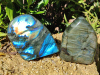 Polished Labradorite Standing Free Forms x 3 From Tulear, Madagascar - Toprock Gemstones and Minerals