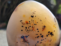 Polished Dendritic Agate Standing Free Forms x 2 From Madagascar - Toprock Gemstones and Minerals