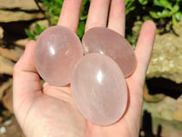 Polished Rose Quartz Palm Stones x 20 From Ambatondrazaka, Madagascar - Toprock Gemstones and Minerals