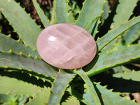 Polished Rose Quartz Palm Stones x 20 From Ambatondrazaka, Madagascar - Toprock Gemstones and Minerals