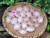 Polished Rose Quartz Palm Stones x 20 From Ambatondrazaka, Madagascar - Toprock Gemstones and Minerals