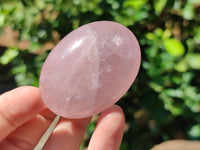 Polished Rose Quartz Palm Stones x 20 From Ambatondrazaka, Madagascar - Toprock Gemstones and Minerals