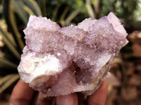 Natural Ametrine and Amethyst Spirit Quartz Clusters x 12 From South Africa - Toprock Gemstones and Minerals