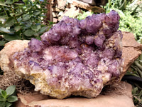 Natural Dark Amethyst Spirit Quartz Cluster x 1 From Boekenhouthoek, South Africa - Toprock Gemstones and Minerals