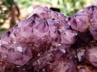 Natural Dark Amethyst Spirit Quartz Cluster x 1 From Boekenhouthoek, South Africa - Toprock Gemstones and Minerals