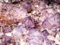 Natural Dark Amethyst Spirit Quartz Cluster x 1 From Boekenhouthoek, South Africa - Toprock Gemstones and Minerals