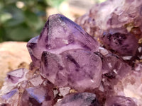 Natural Dark Amethyst Spirit Quartz Cluster x 1 From Boekenhouthoek, South Africa - Toprock Gemstones and Minerals