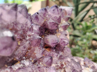 Natural Dark Amethyst Spirit Quartz Cluster x 1 From Boekenhouthoek, South Africa - Toprock Gemstones and Minerals