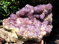 Natural Dark Amethyst Spirit Quartz Cluster x 1 From Boekenhouthoek, South Africa - Toprock Gemstones and Minerals