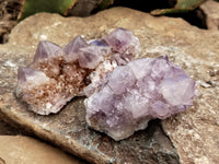 Natural Amethyst Spirit Quartz Clusters x 6 From Boekenhouthoek, South Africa - Toprock Gemstones and Minerals