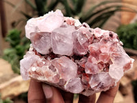 Natural Amethyst Spirit Quartz Clusters x 6 From Boekenhouthoek, South Africa - Toprock Gemstones and Minerals