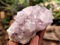 Natural Amethyst Spirit Quartz Clusters x 6 From Boekenhouthoek, South Africa - Toprock Gemstones and Minerals