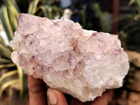 Natural Amethyst Spirit Quartz Clusters x 6 From Boekenhouthoek, South Africa - Toprock Gemstones and Minerals