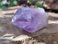 Natural Jacaranda Amethyst Quartz Crystals x 24 from Mumbwa, Zambia - Toprock Gemstones and Minerals
