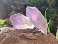 Natural Jacaranda Amethyst Quartz Crystals x 24 from Mumbwa, Zambia - Toprock Gemstones and Minerals