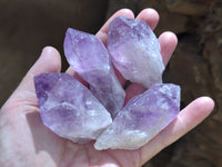 Natural Jacaranda Amethyst Quartz Crystals x 24 from Mumbwa, Zambia - Toprock Gemstones and Minerals