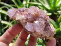 Natural Amethyst Spirit Quartz Clusters x 6 From Boekenhouthoek, South Africa - Toprock Gemstones and Minerals