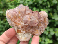 Natural Amethyst Spirit Quartz Clusters x 6 From Boekenhouthoek, South Africa - Toprock Gemstones and Minerals
