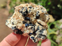 Natural Schorl Black Tourmaline Specimens x 6 From Erongo, Namibia - Toprock Gemstones and Minerals