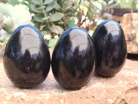 Polished Black Basalt Gemstone Eggs x 6 From Madagascar - Toprock Gemstones and Minerals