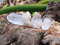Natural Quartz Crystals x 70 From Mpika, Zambia - Toprock Gemstones and Minerals