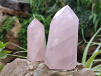 Polished Rose Quartz Points x 6 From Ambatondrazaka, Madagascar - Toprock Gemstones and Minerals