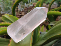 Polished Rose Quartz Points x 6 From Ambatondrazaka, Madagascar - Toprock Gemstones and Minerals