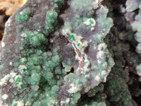 Natural Ball Malachite On Quartz Matrix Specimen x 1 From Kambove, Congo - Toprock Gemstones and Minerals