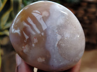 Polished Flower Agate Palm Stones x 12 From Madagascar - Toprock Gemstones and Minerals