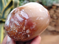 Polished Flower Agate Palm Stones x 12 From Madagascar - Toprock Gemstones and Minerals