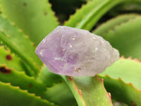 Natural Jacaranda Amethyst Single Quartz Crystals x 24 from Mumbwa, Zambia - Toprock Gemstones and Minerals