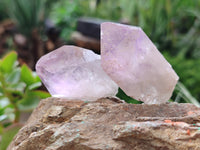 Natural Jacaranda Amethyst Single Quartz Crystals x 24 from Mumbwa, Zambia - Toprock Gemstones and Minerals