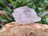 Natural Jacaranda Amethyst Single Quartz Crystals x 24 from Mumbwa, Zambia - Toprock Gemstones and Minerals