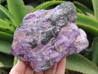 Natural Stichtite Cobbed Specimens x 2 From Barberton, South Africa - Toprock Gemstones and Minerals