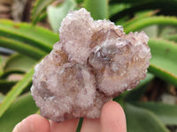 Natural Amethyst Spirit Quartz Clusters x 6 From Boekenhouthoek, South Africa - Toprock Gemstones and Minerals