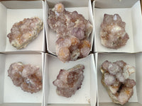 Natural Amethyst Spirit Quartz Clusters x 6 From Boekenhouthoek, South Africa - Toprock Gemstones and Minerals